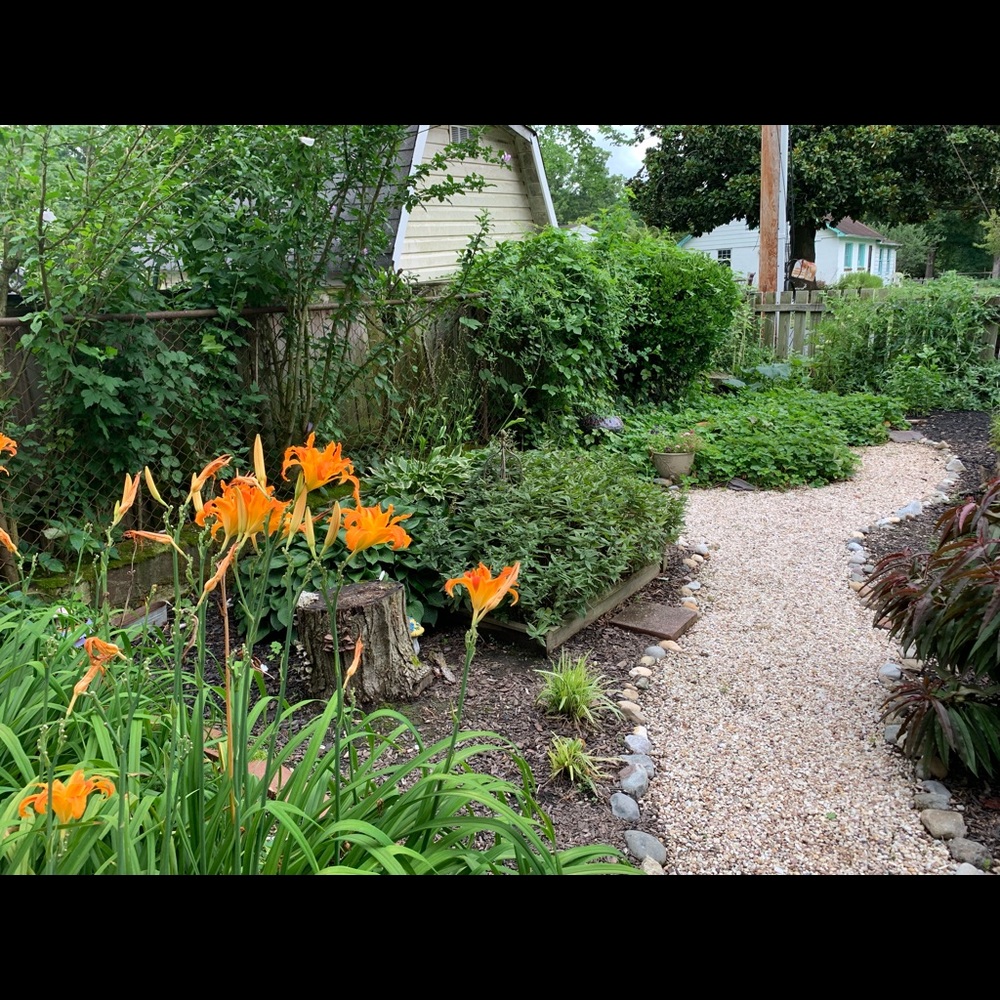 Meet your Posher, Tammy